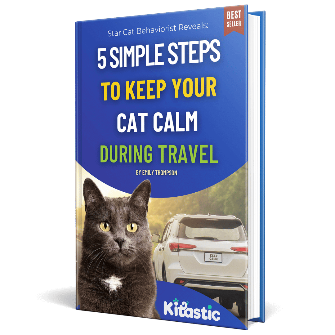 FREE EBOOK: 5 Simple Steps to Keep Your Cat Calm During Travel