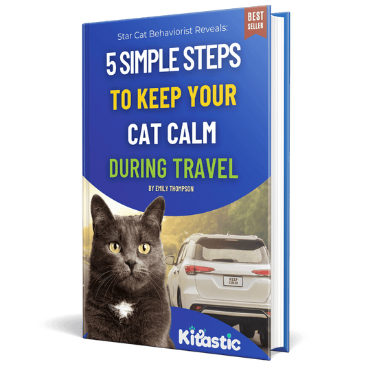 FREE EBOOK: 5 Simple Steps to Keep Your Cat Calm During Travel